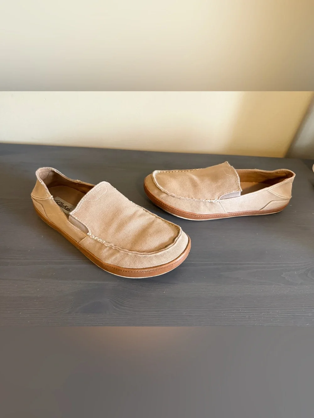 Men's Olukai Puhalu Canvas Shoes